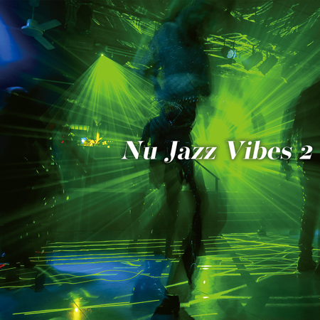 Nu Jazz Vibes 2 표지