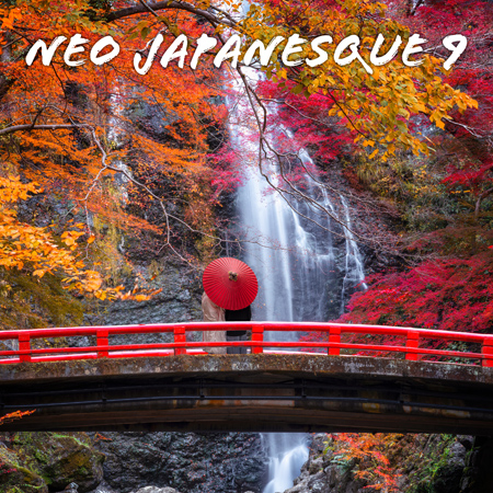 Neo Japanesque 9 표지