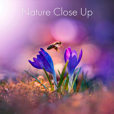Nature Close Up 표지