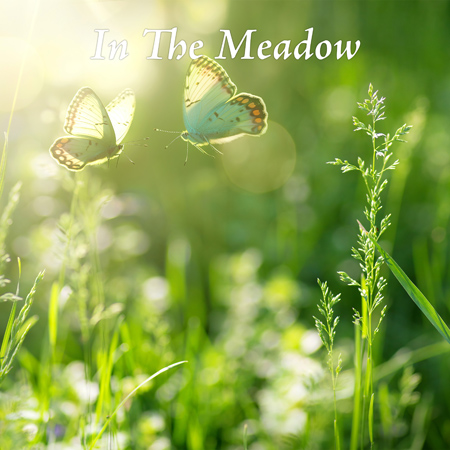 In The Meadow 표지