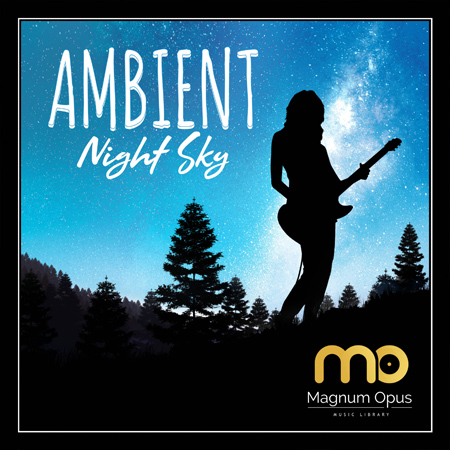Ambient - Night Sky 표지