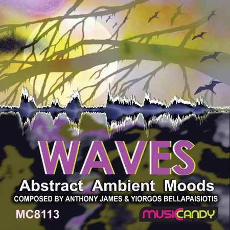 WAVES 표지