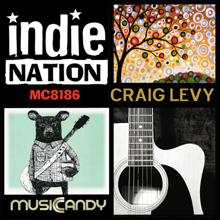 INDIE NATION 표지