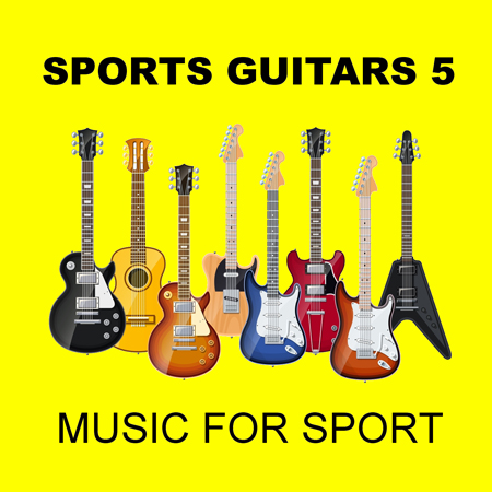 sports guitars 5 표지