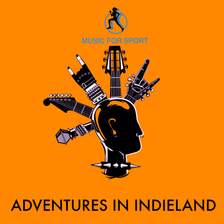 adventures in indieland 표지