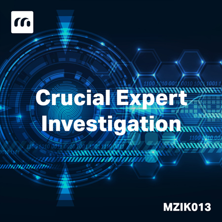 Crucial Expert Investigation 표지