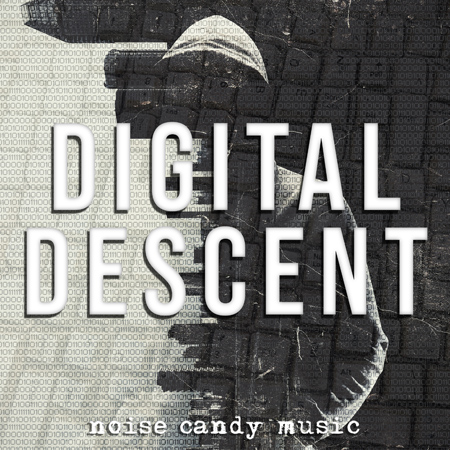 Digital Descent 표지