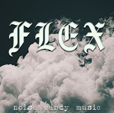 Flex 표지