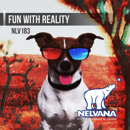 Fun With Reality 표지