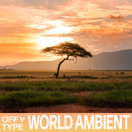 Pop Subculture - World Ambient 표지
