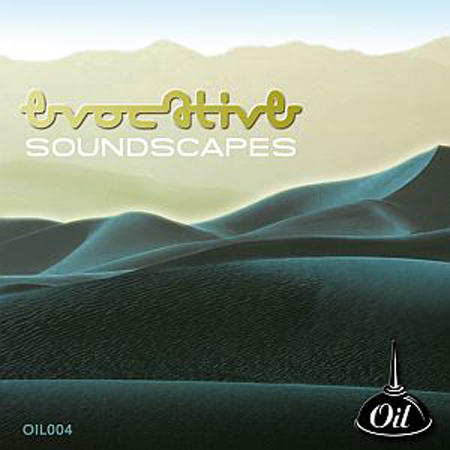 evocative soundscapes 표지