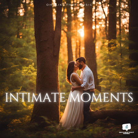 Intimate Moments 표지