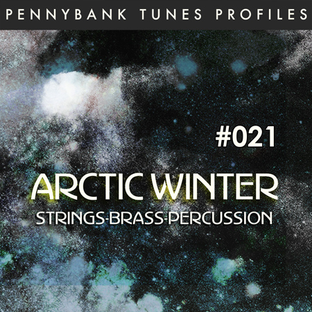 Arctic Winter 표지
