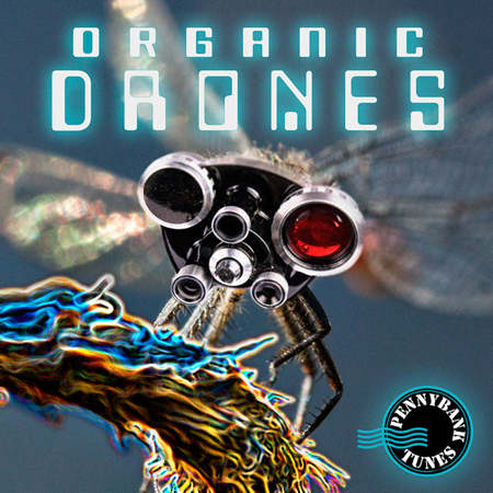Organic Drones 표지