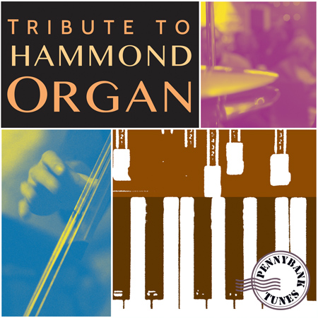 Tribute To Hammond Organ 표지