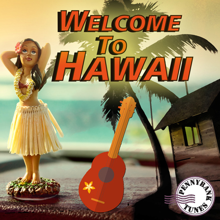 Welcome To Hawaii 표지