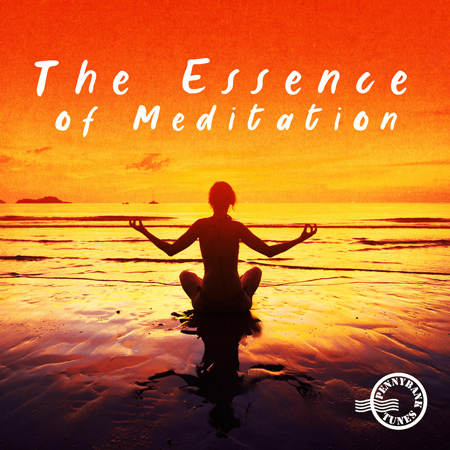 The Essence Of Meditation 표지