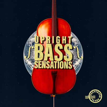 Upright Bass Sensations 표지