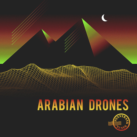 Arabian Drones 표지