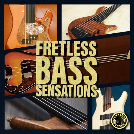 Fretless Bass Sensations 표지
