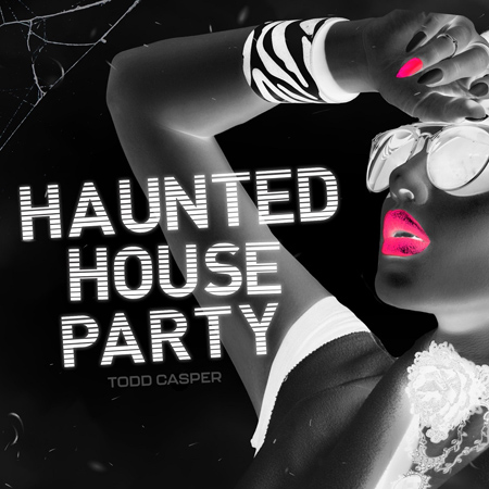 Haunted House Party 표지
