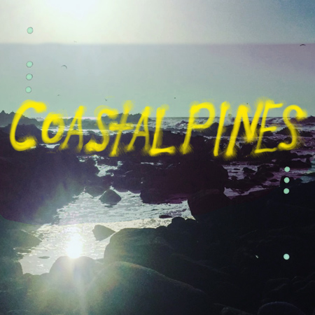 Coastal Pines 표지
