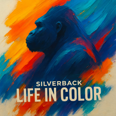 Life In Color 표지