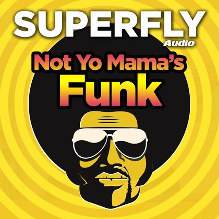 Not Yo Mama's Funk 표지
