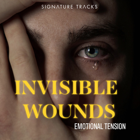 Invisible Wounds 표지