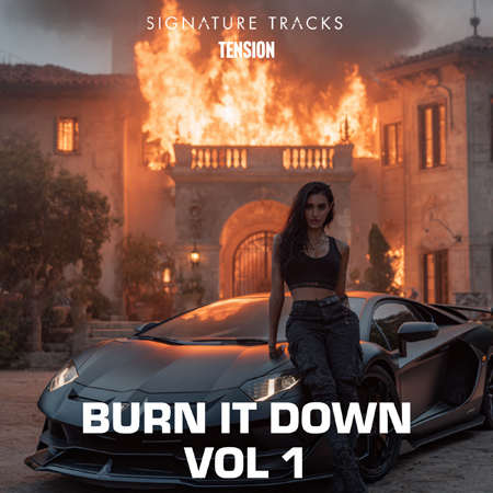 Burn It Down Vol 1 - World Latin Tension 표지
