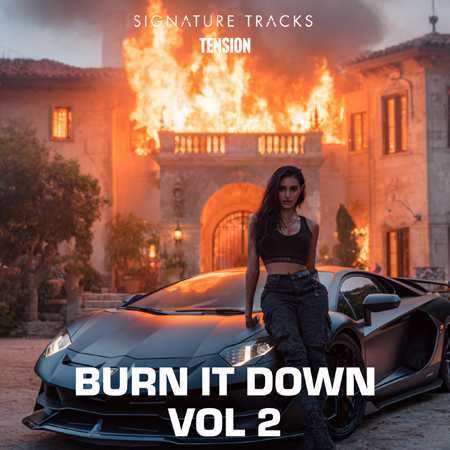 Burn It Down Vol 2 - World Latin Tension 표지