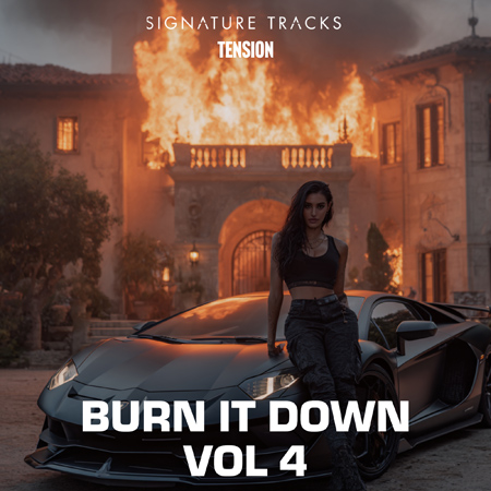 Burn It Down Vol 4 - World Latin Tension 표지