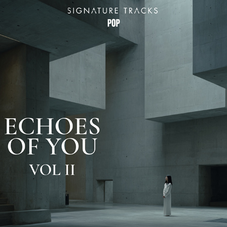Echoes Of You Vol 2 - Pop Reflective 표지