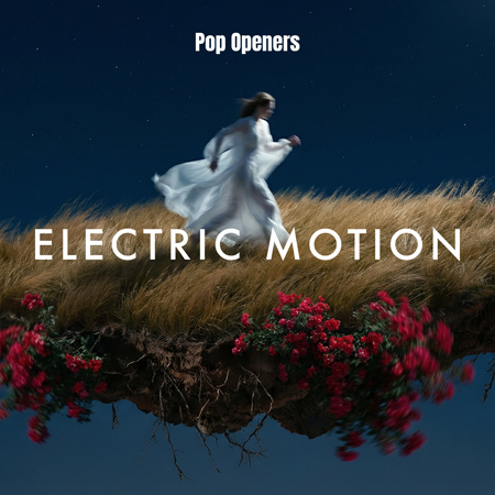 Electric Motion - EDM Openers 표지