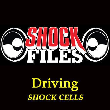Driving Shock Cells 표지