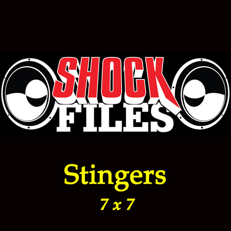 Stingers 7x7 표지