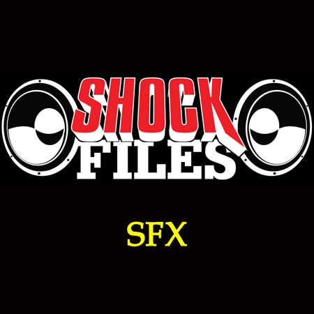 SFX 표지