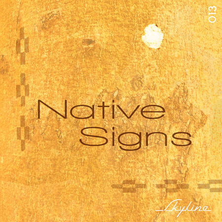 NATIVE SIGNS 표지