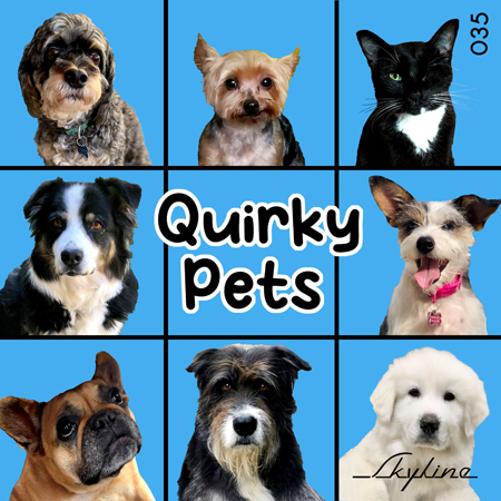 QUIRKY PETS 표지