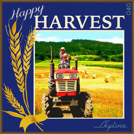 HAPPY HARVEST 표지