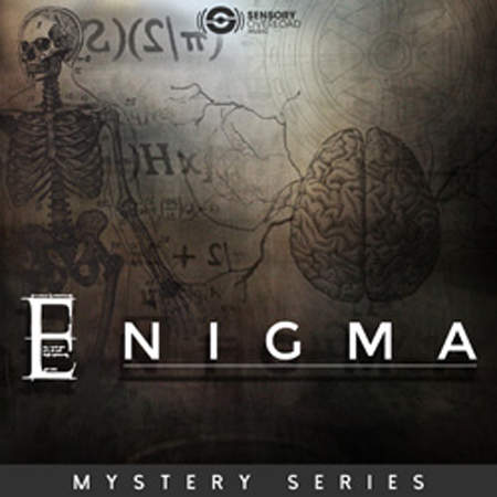Mystery Series - Enigma 표지