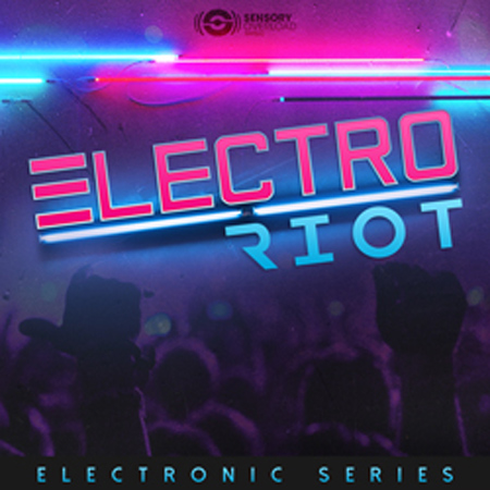 Electronic Series - Electro Riot 표지