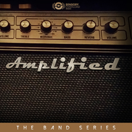 The Band - Amplified 표지
