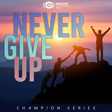 Champion Series - Never Give Up 표지