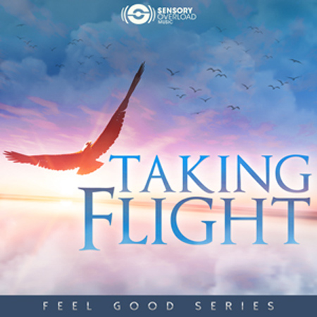 Feel Good Series - Taking Flight 표지
