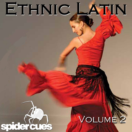 Ethnic Latin 2 표지
