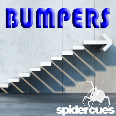 Bumpers 표지