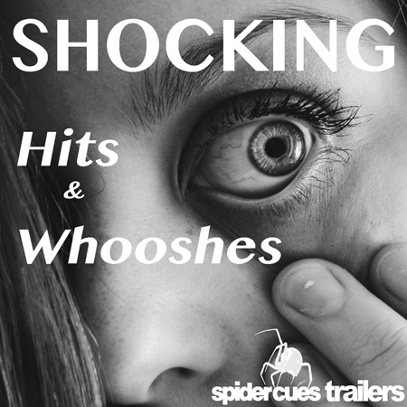 Shocking Hits and Whooshes 표지