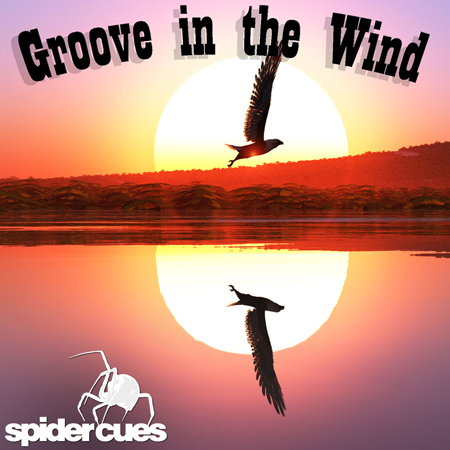 Groove in the Wind 표지