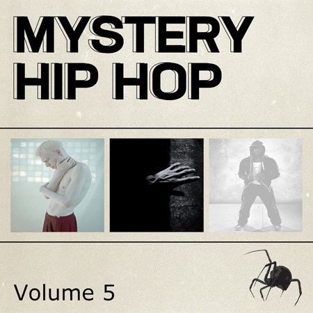 Mystery Hip Hop v5 표지